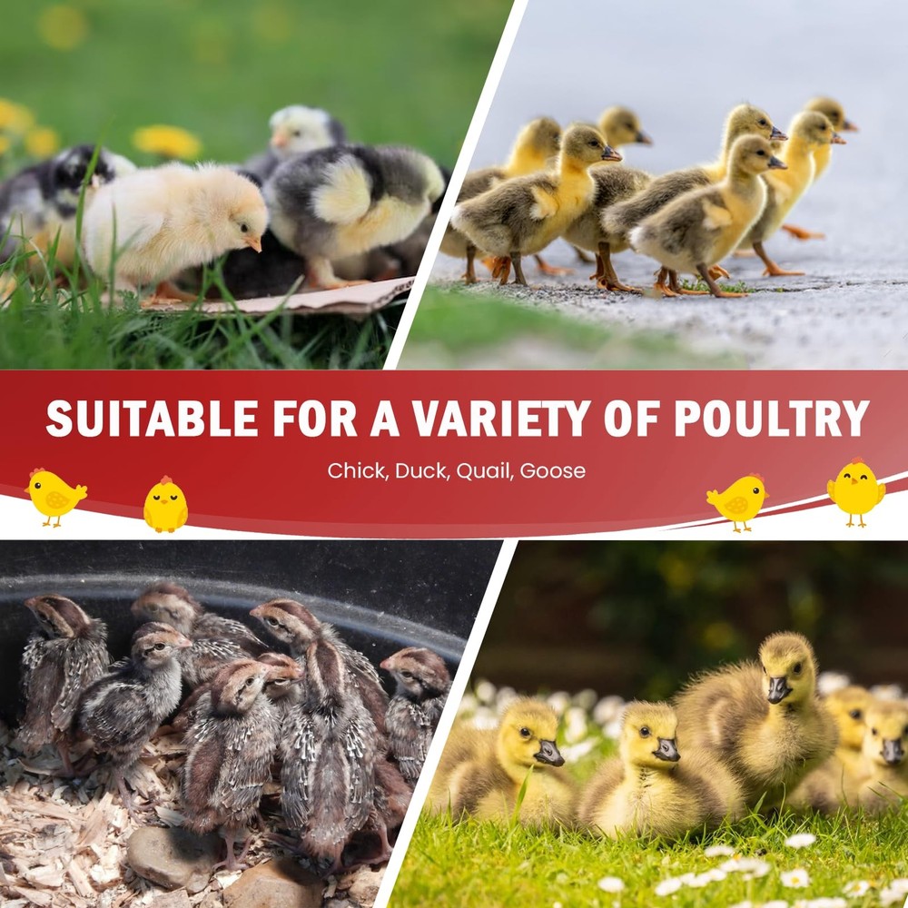 Chicken Brooder Box for Chick Starter Kit - 10 * 12inch Brooder Heating Plate...