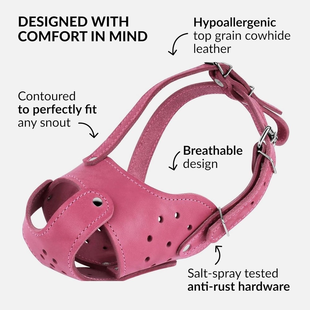Adjustable Basket Muzzle for Staffordshire Terrier