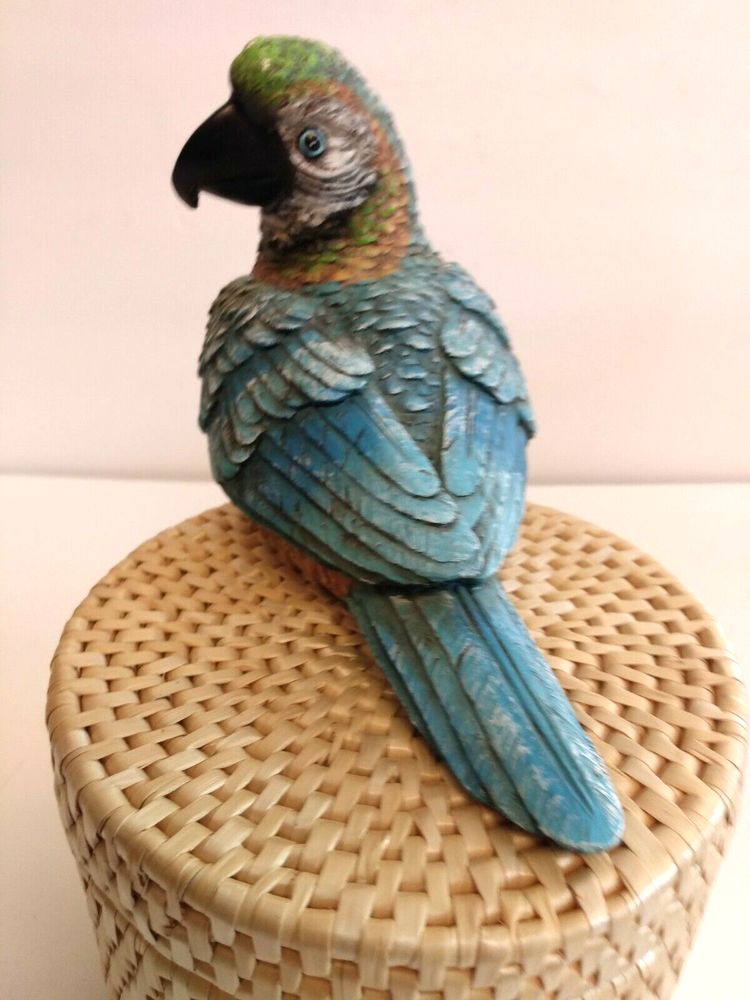 Shelf Sitter Multicolor Macaw Parrot Decorative Resin