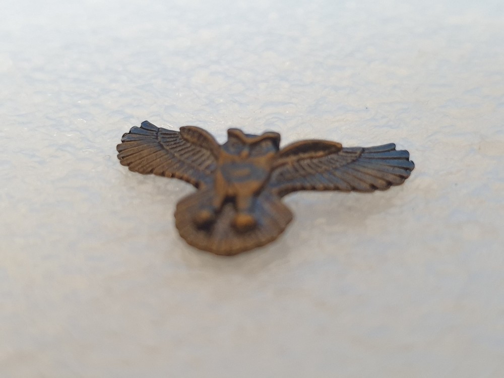 Pin. Badge. OWL. Eagle Owl.