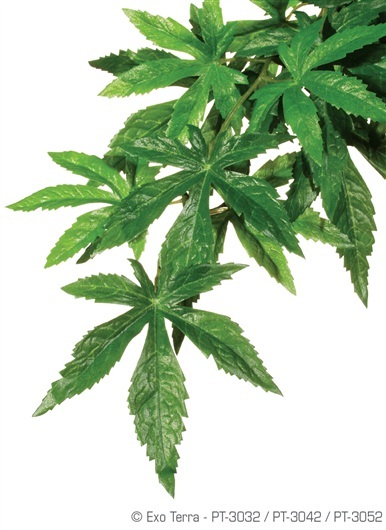 EXO TERRA SILK PLANT - ABUTILON - LARGE - PT-3052