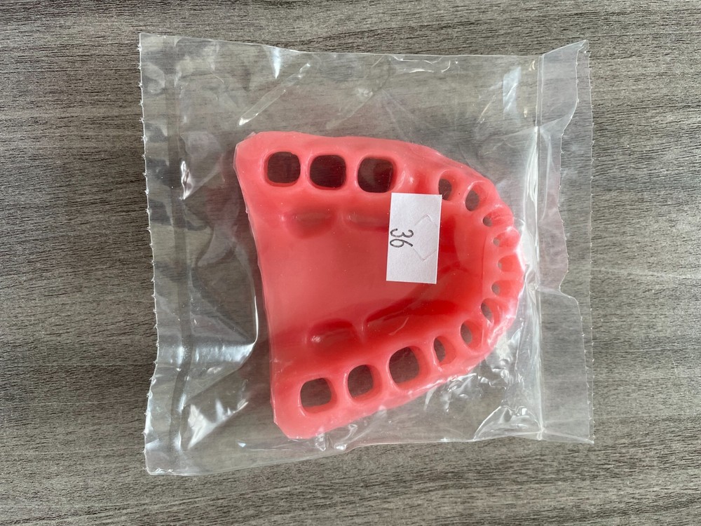 Lower Removable Gingiva for Columbia 860 Typodont (x2)