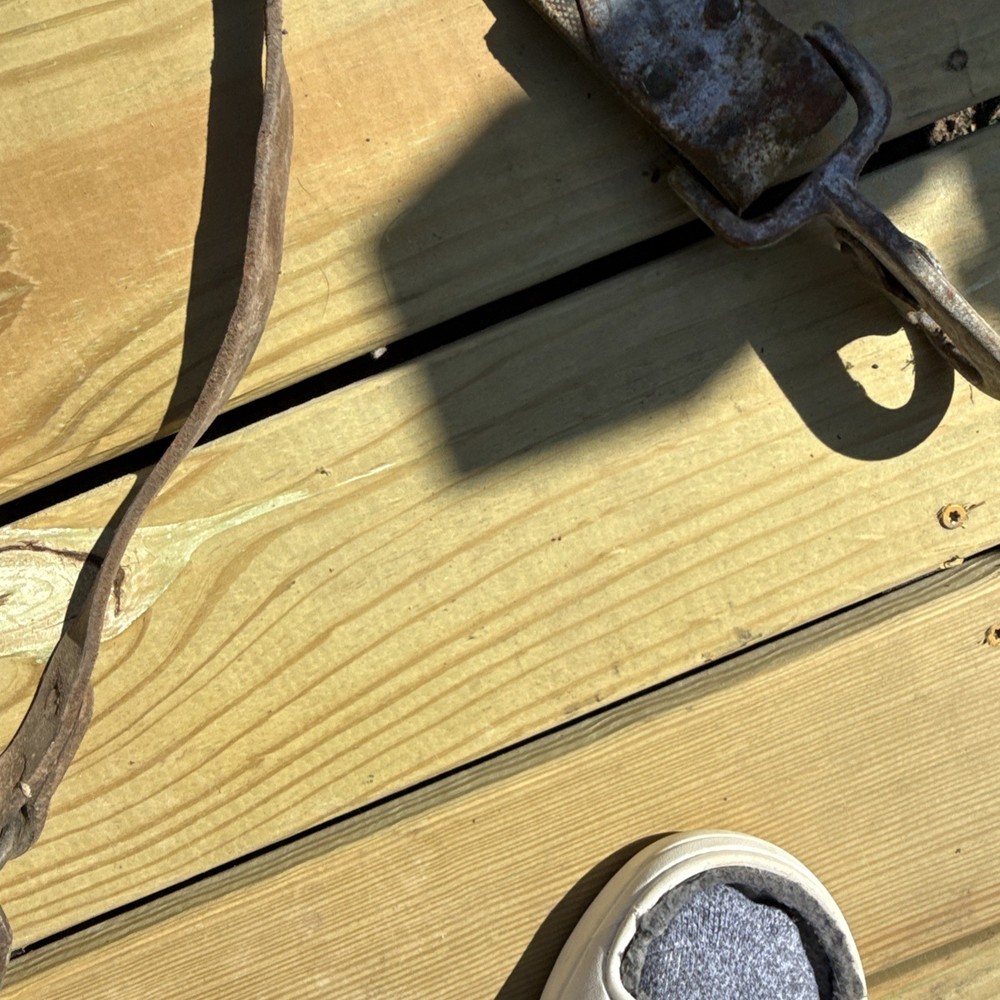 Vintage Pair BUCKINGHAM Climbing Spikes/ Lineman Pole-Tree