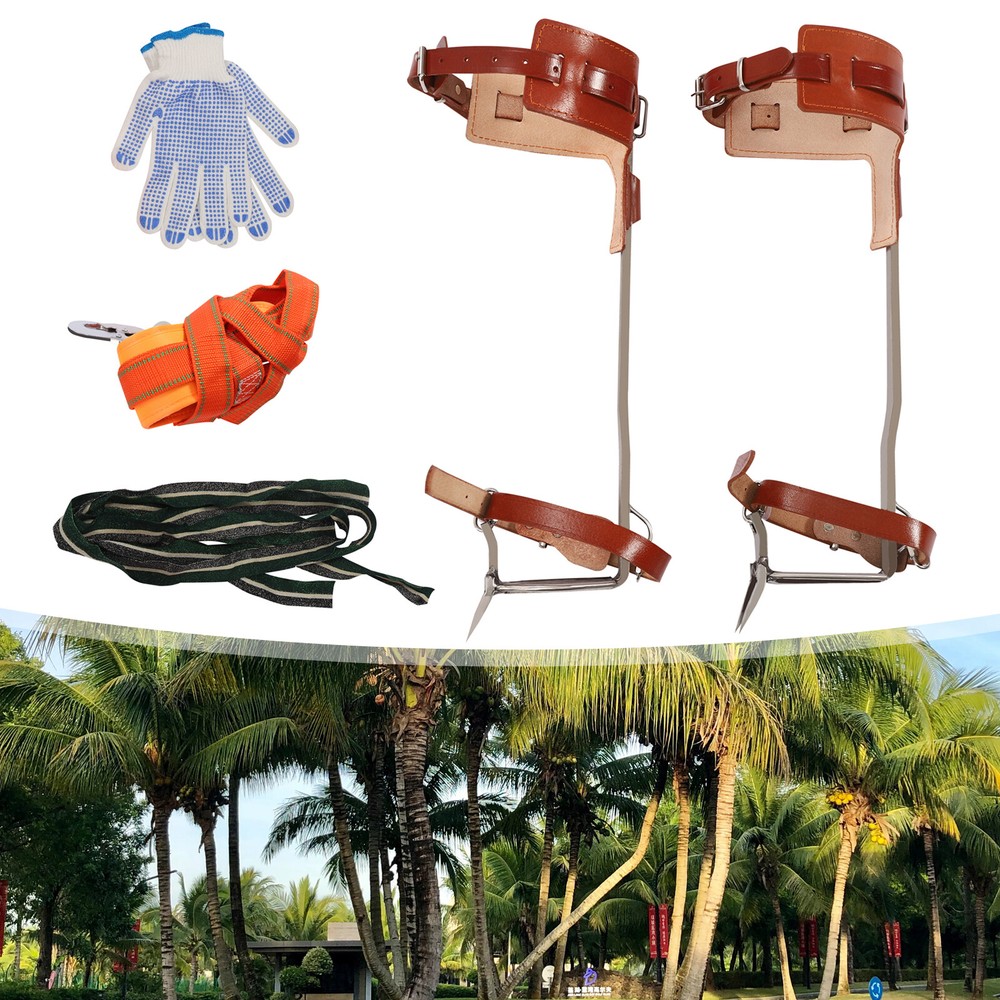 Tree Climbing Spike Set Adjustable Pole Climbing Spurs Tool Climber Strap Gaffs