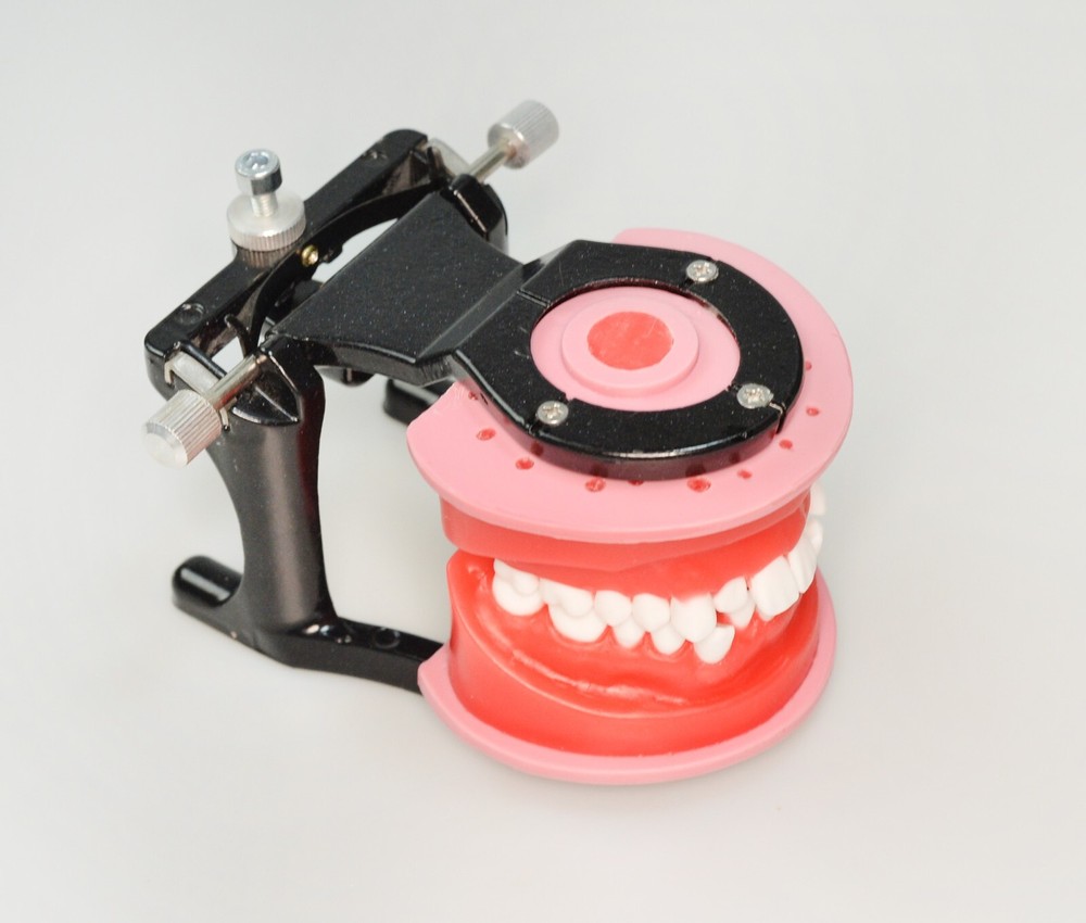Reusable Dental Typodont Orthodontics Model Wax Teeth Training Practice
