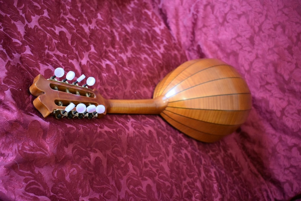 German style mandolin. UNIQUE! 德国风格的曼陀林。独特！ 。
