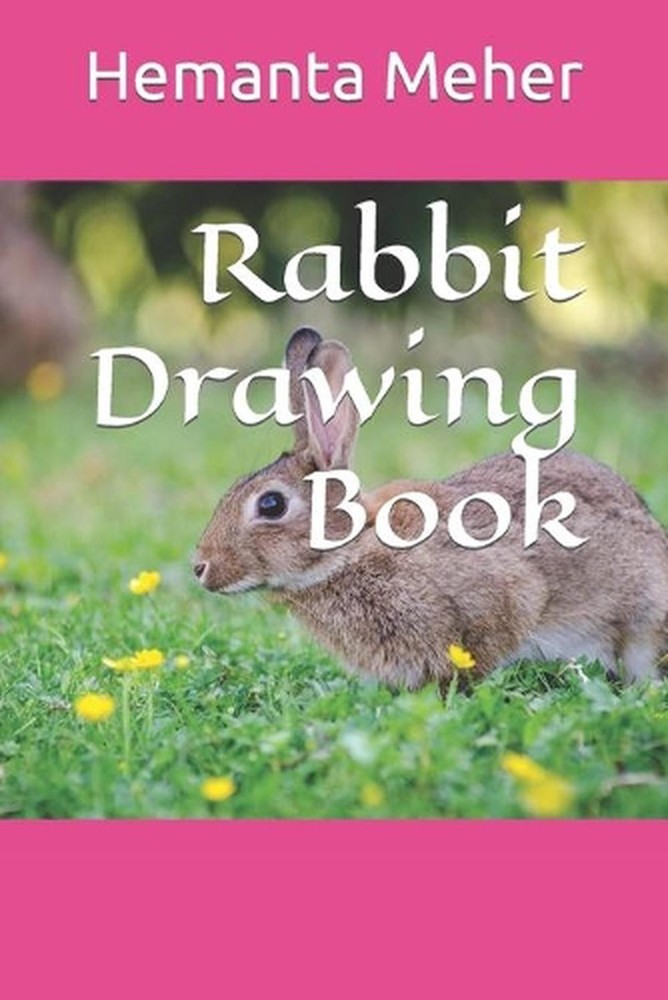 Rabbit Drawing Book