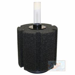 ISTA Bio Sponge L size- Rectangular Bio Foam