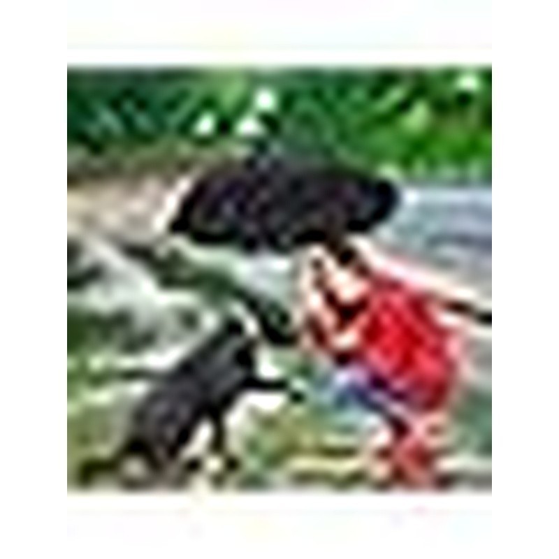Compact Travel Umbrella Windproof Automatic Open Close Mini Waterproof Durable