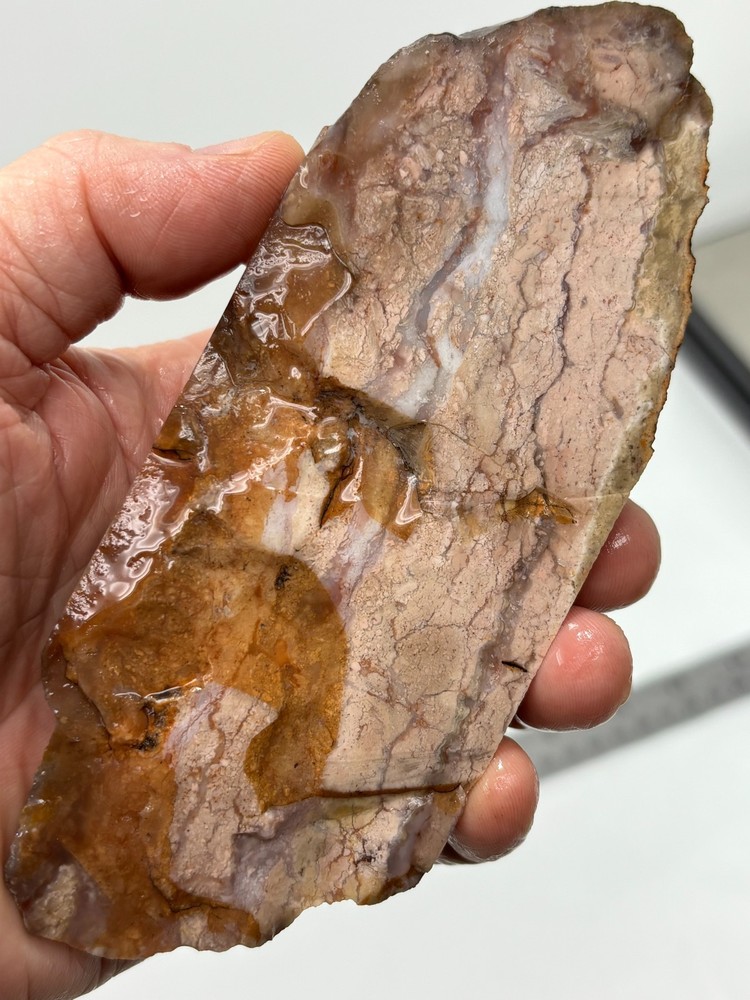 Pink Jasper/Agate Slab Cabbing Lapidary Combo Ship Avail