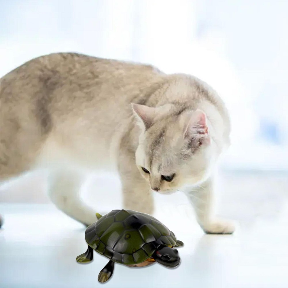 Remote Control Turtle Toy Electronic Realistic Turtle RC Crawling Turtle Toy