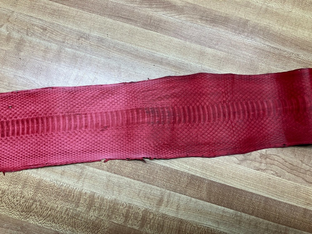 Dyed Red Sea Snake Skin