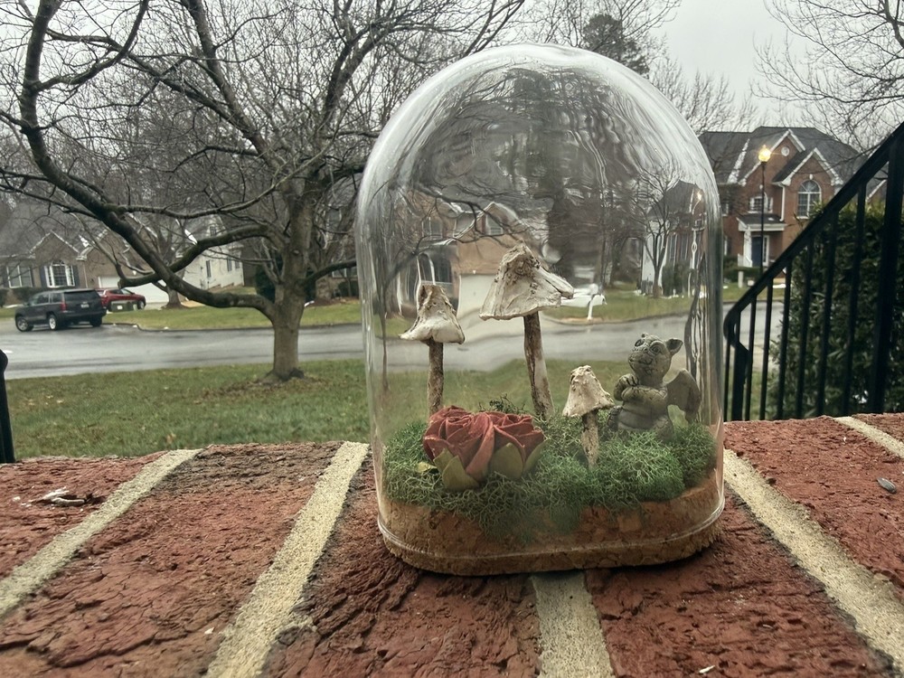 Handmade Mushroom Fairy Dome