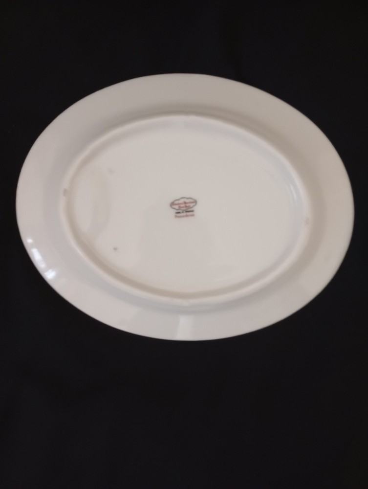 Theodore Haviland NY Pasadena Pattern Oval 16" Platter