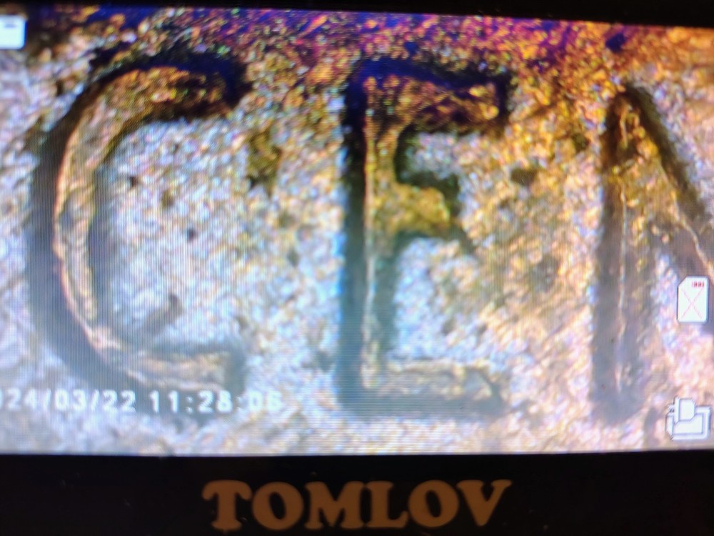 1948 D Wheat Sent Obverse And Reverse Debris Strike Error