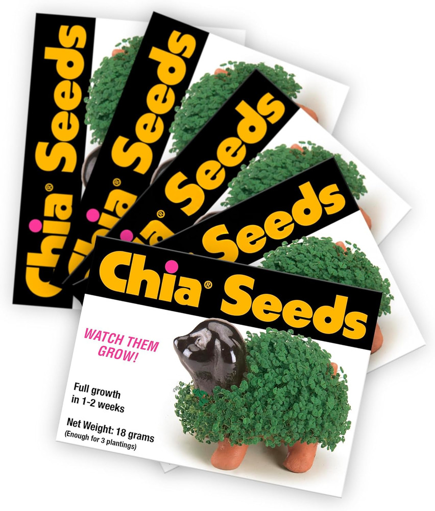 Seed Packet 5 Count ( pet not Included) 5 Count Green