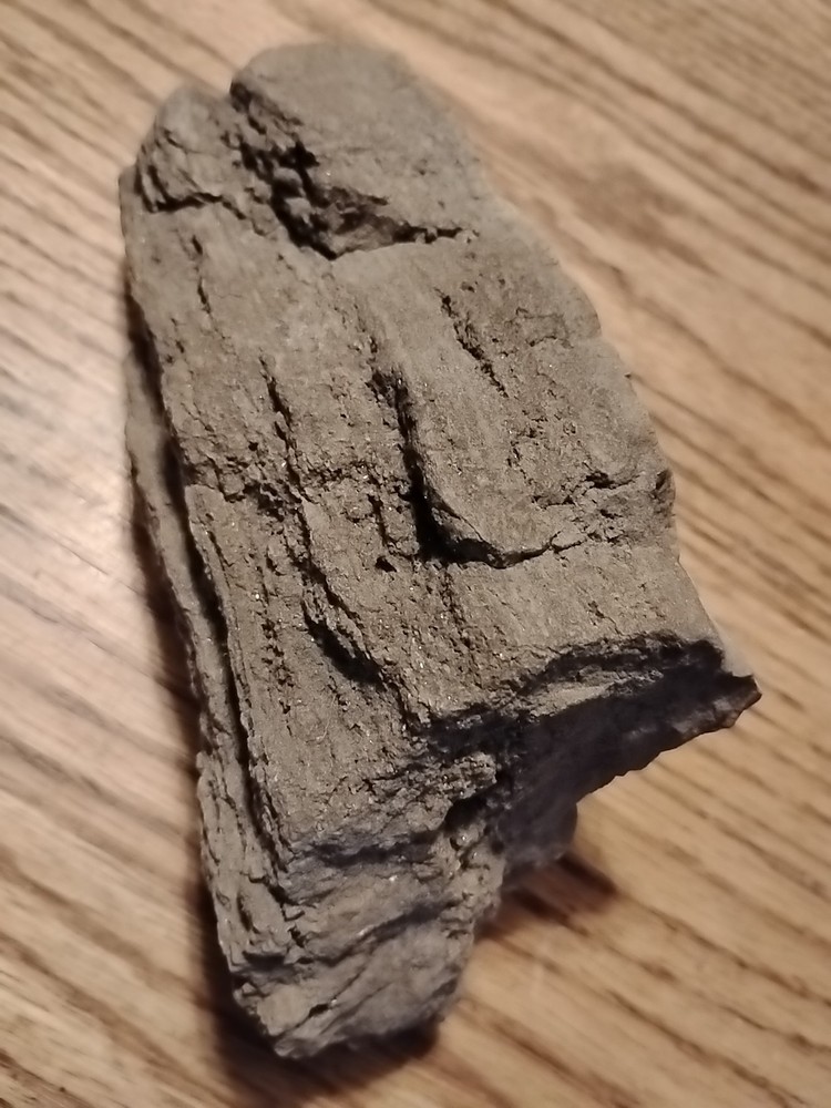 Petrified Wood 738g (Outer Bark)