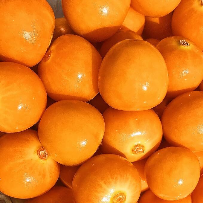 Fresh Exotic Fruit Box Sampler(Varies with Availability) - 5 Pounds