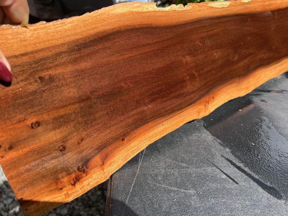 Hawaiian Milo Board #12270