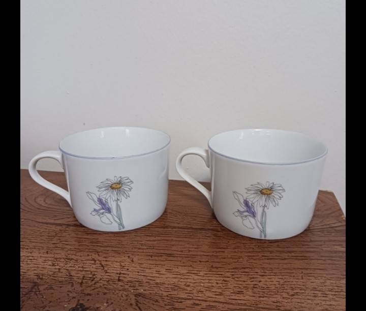 Spode Spal Cups Pair Floral Goertzen Pattern