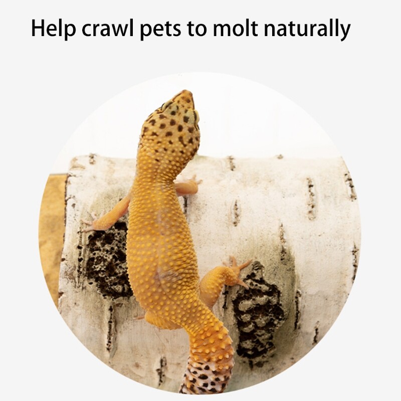 Snake Hide Small Caves Artificial Terrarium Decor
