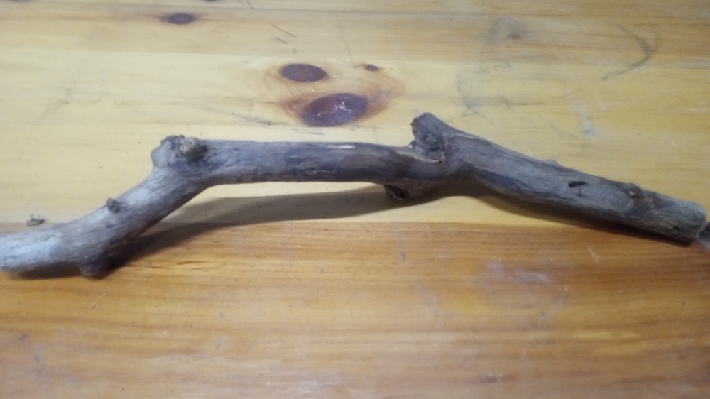Driftwood Coral Branch