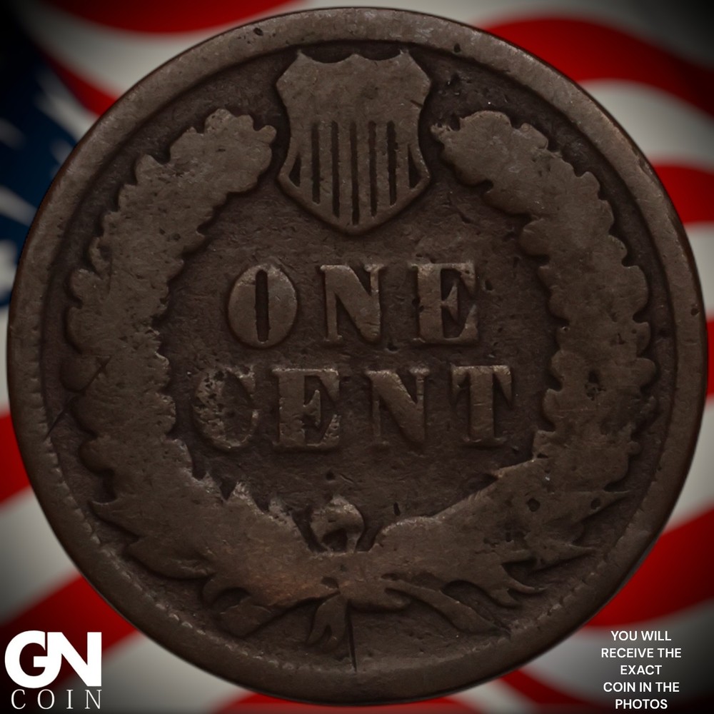 1879 Indian Head Cent Penny A6105