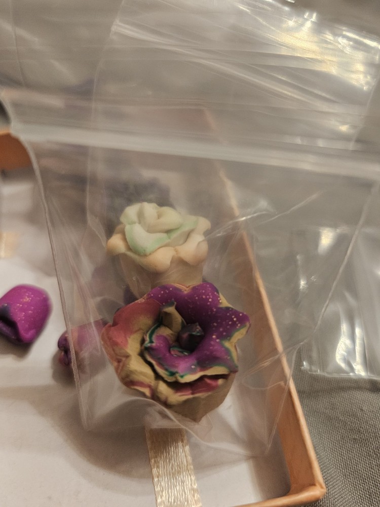 Succulent miniatures lot