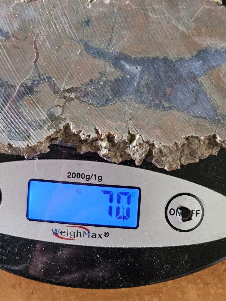 Priday moss Agate slab Unpolished Oregon 70 Grams