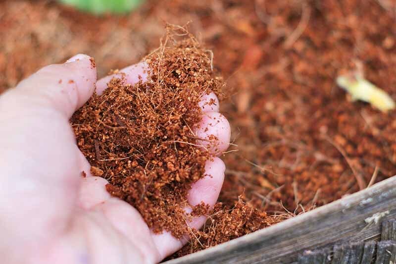 Ceylon Coco Coir Coco Peat Natural Oraganic Compost Hydroponic Growing Media