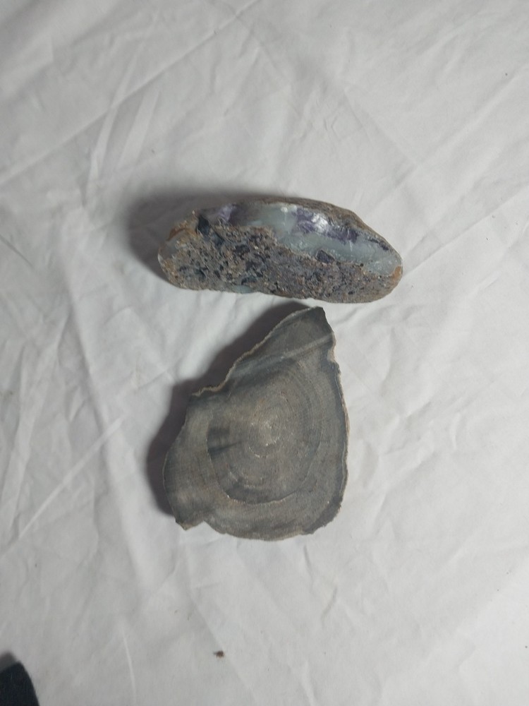 Petrified Wood, Half Geode Polished