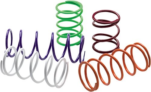 Erlandson Snow Kss3 Epi Secondary Driven Clutch Spring Black