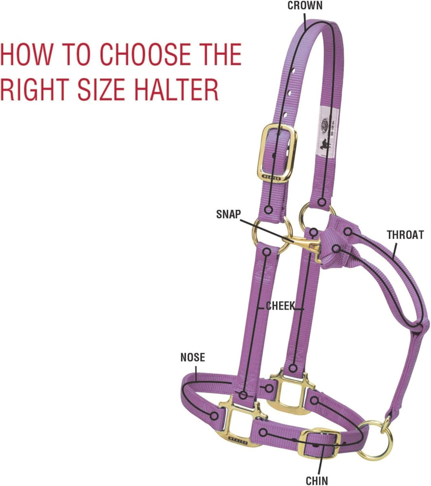 Original Non-Adjustable Nylon Horse Halter