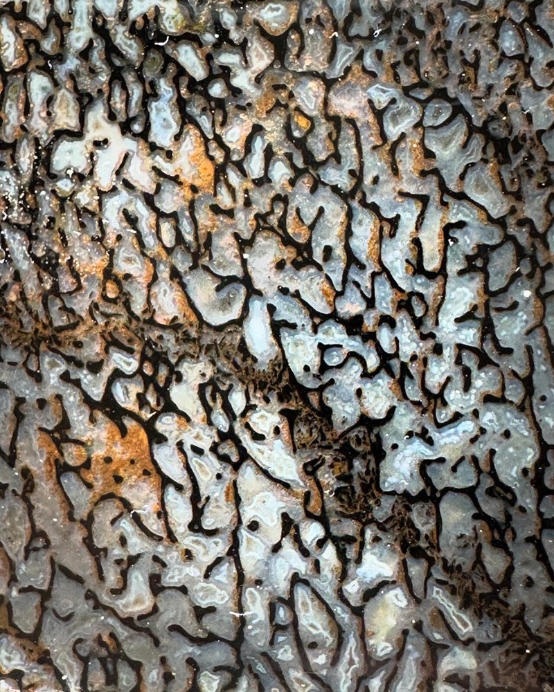 Dinosaur bone rough **hxtled wash split.