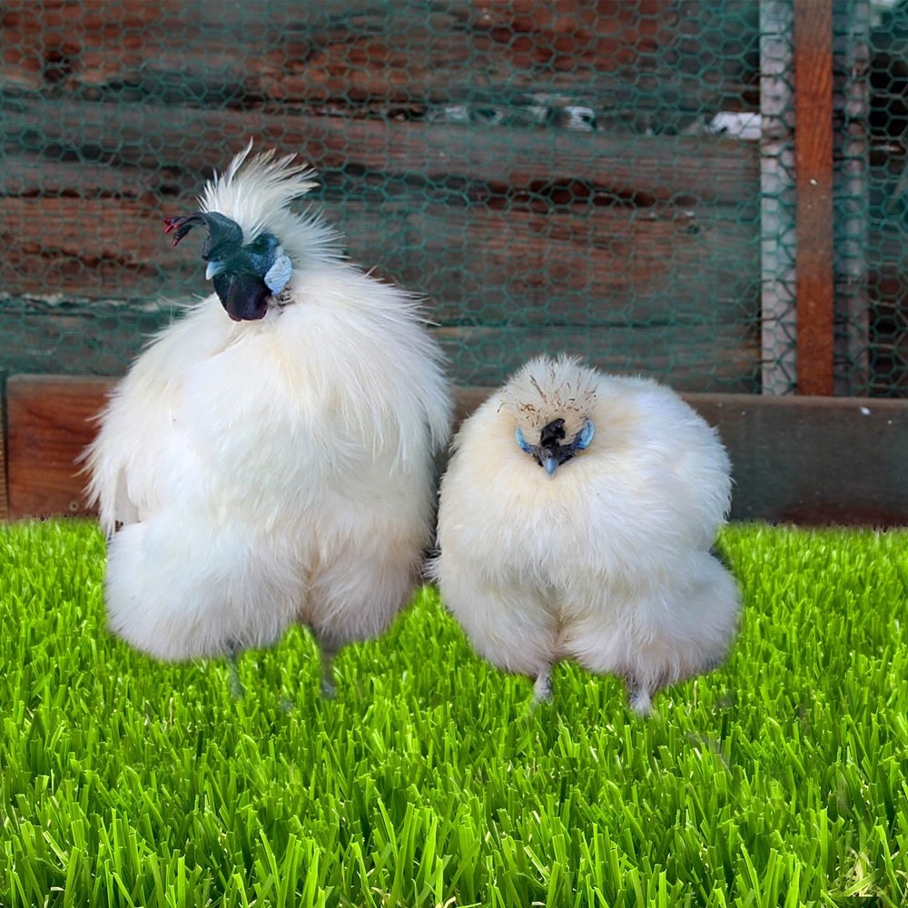 Chicken Artificial Grass Nesting Box Pads for Laying Eggs, Pads Coop, 6 Pack