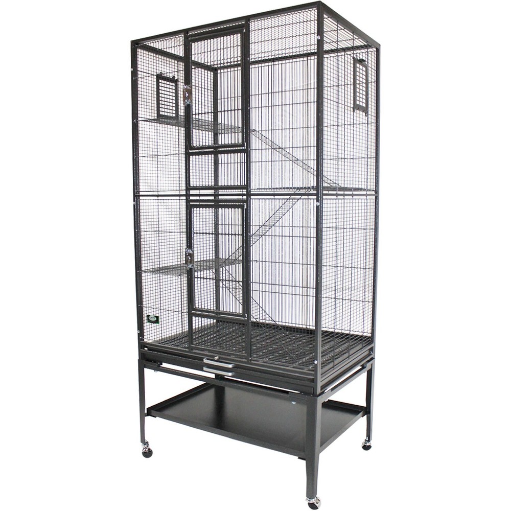 Congo Cage & Starter Package for Squirrels