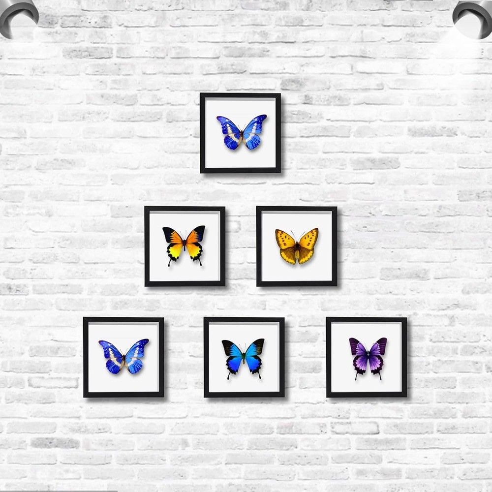 5X5 Small Shadow Box Frame Display Case , Display Case Box for Memorabilia, Meda