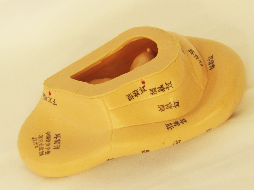 human ear Chinese acupuncture massage model figure New