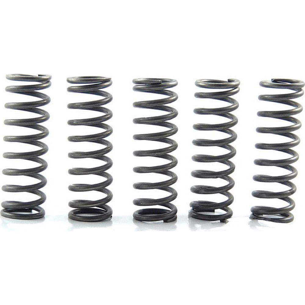 EBC CSK Clutch Spring Kit - CSK124