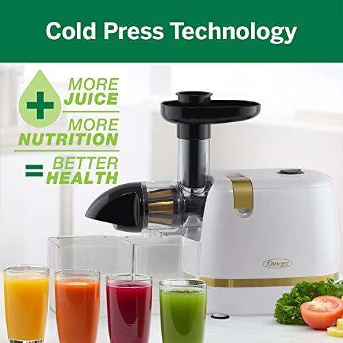 Omega H3000RWH13 Cold Press 365 Juicer Slow Masticating Extractor Creates Del...