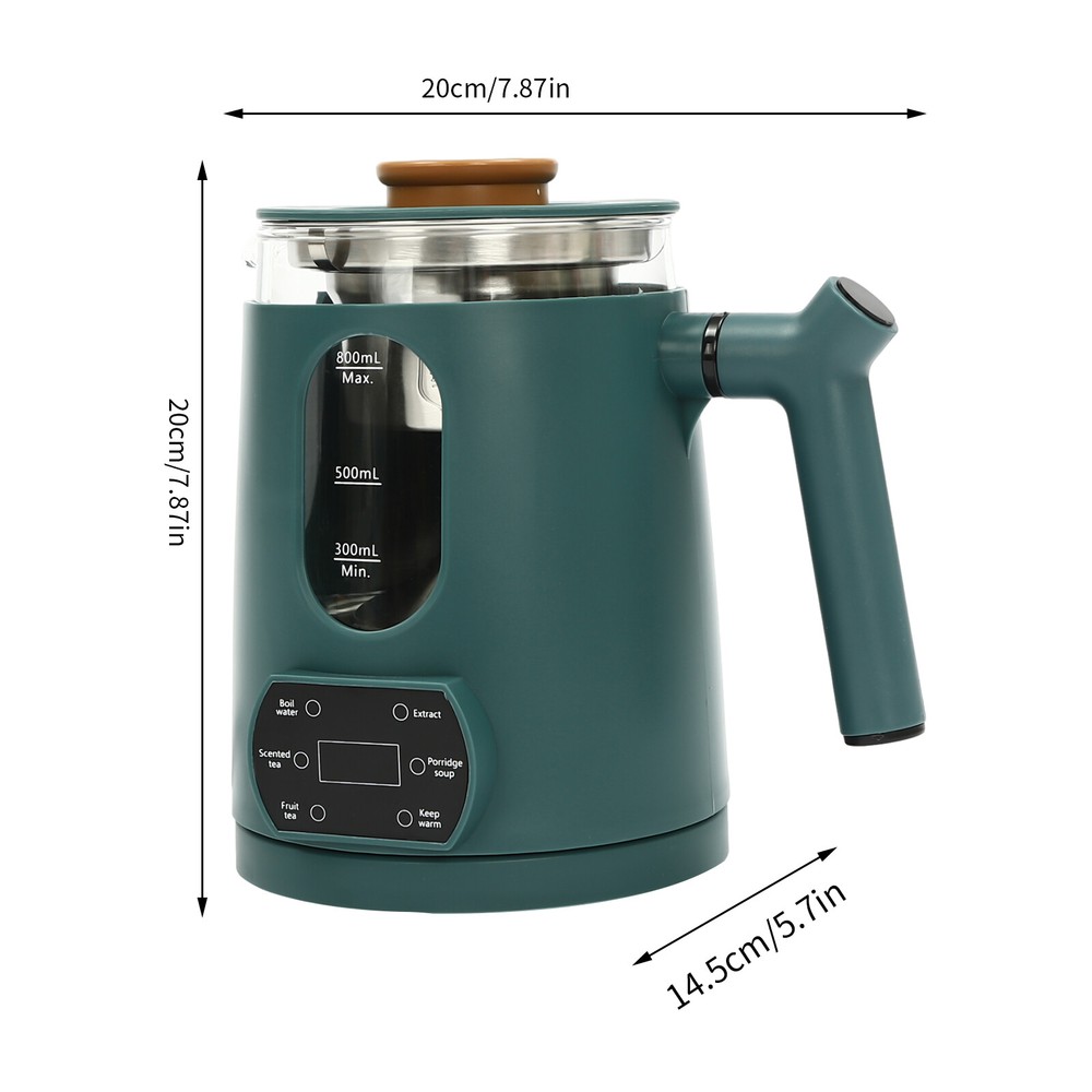 6 Functions Temperature Control Electric Tea Kettle With Tea Steamer Mesh 600W