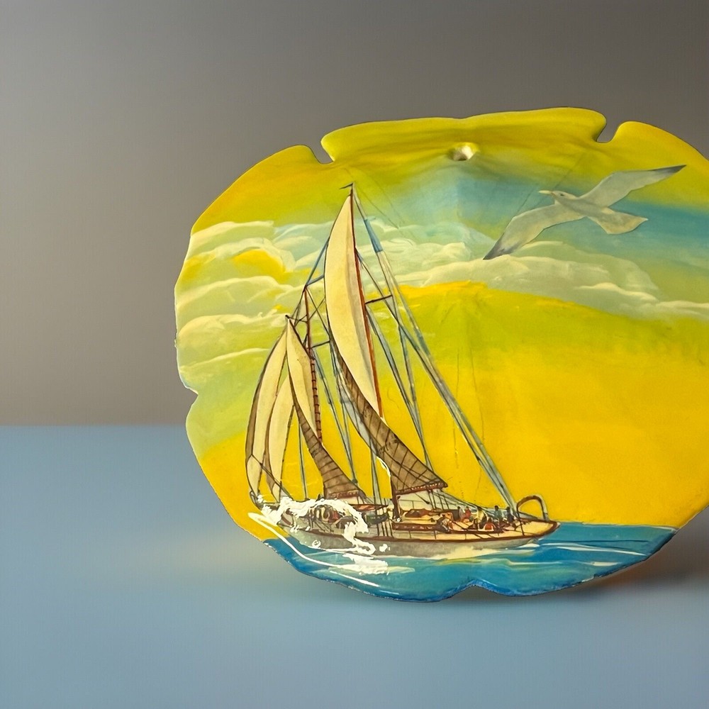 Hand painted Sanddollar