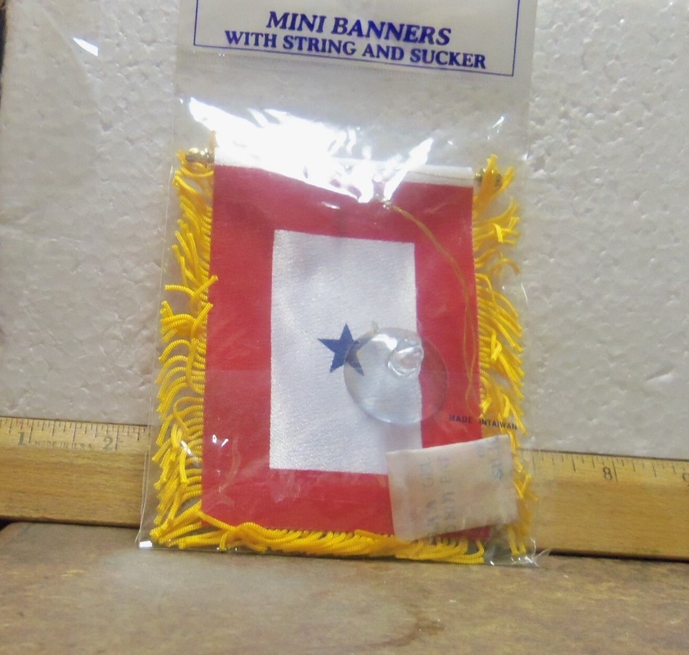 Blue Star Service Mini Banner