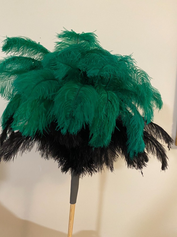 First grade ostrich feather display with 80grm 2 colour ostrich feathers -