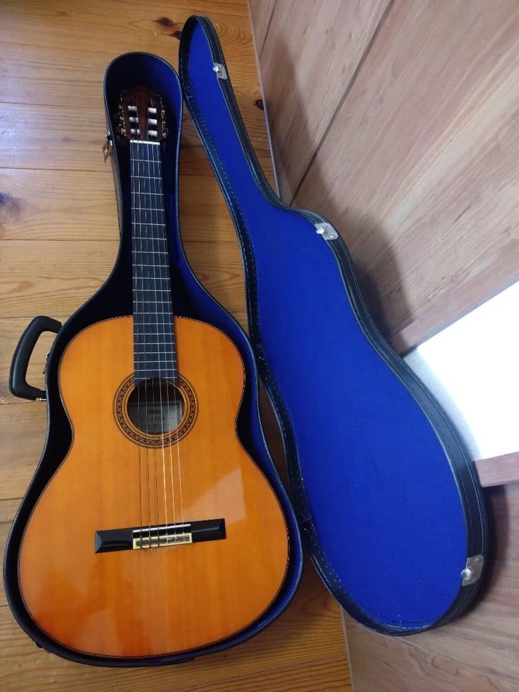 Yamaha Guitar C-250A