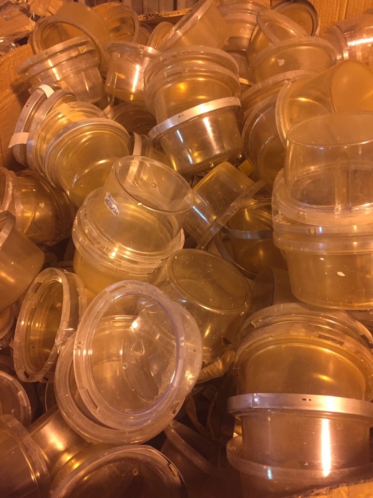SCRAP - POLYCARBONATE / LEXAN PLASTIC, SAMPLE ORDER, 1 TO 2 LBS