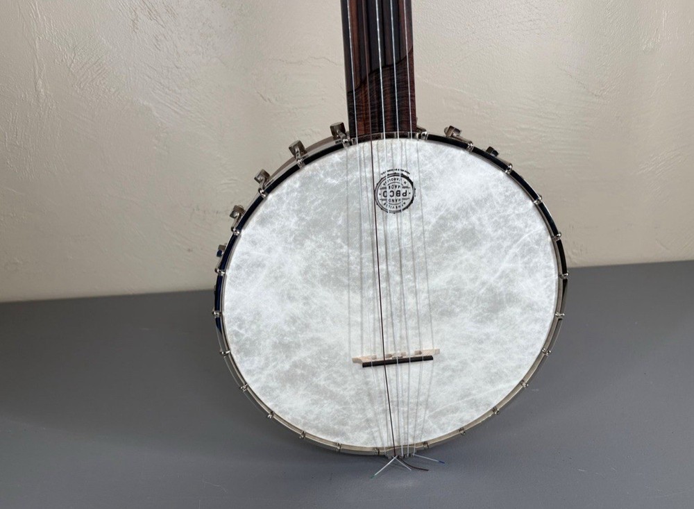 5-String Open-Back Banjo with Case in Excellent Condition, Nylon Strings