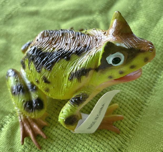 Exotic Frogs and Toads - Hollow Vinyl