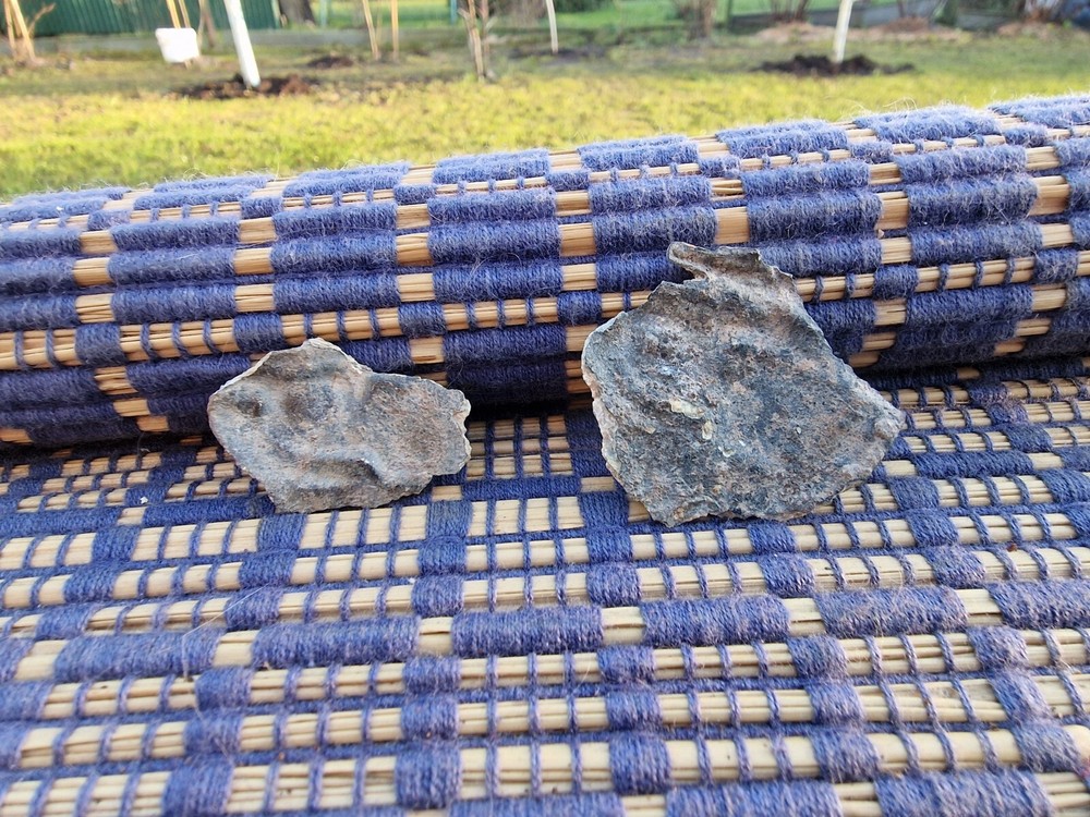 WW2 Original German Badge Front Item Relic.