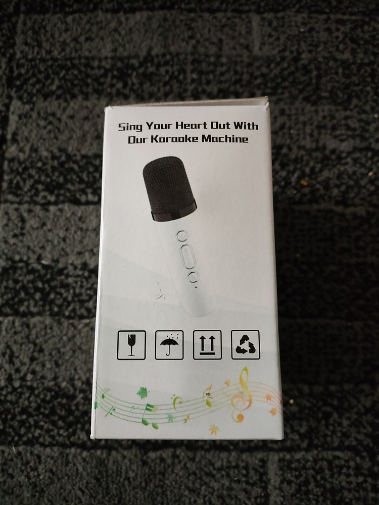 Karaoke Machine with Dual Microphones